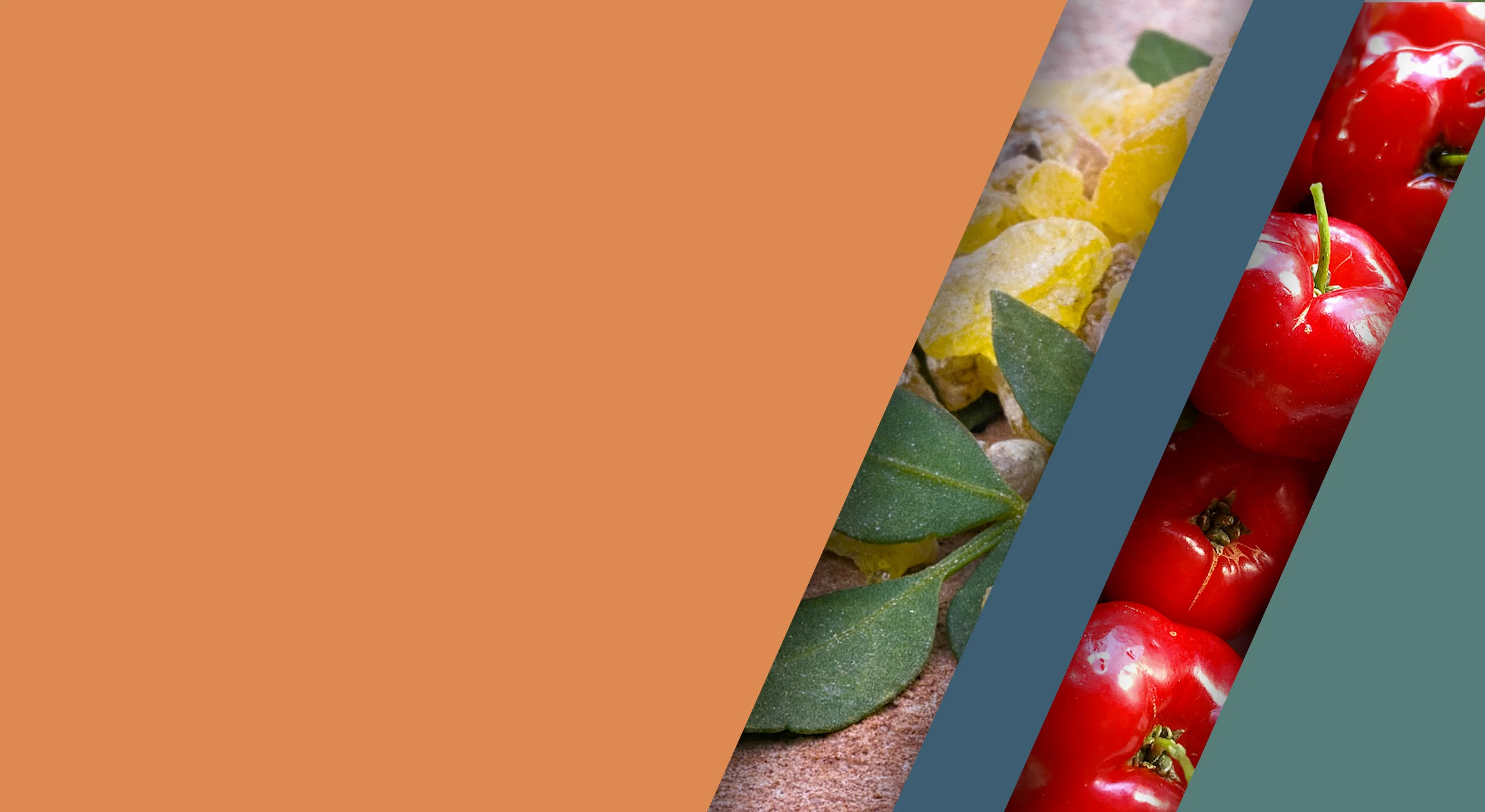 Pure Supplements, Nutritionist Led